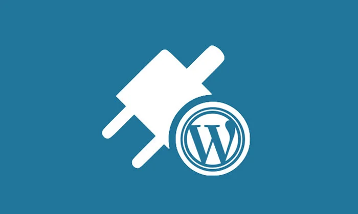 5 WordPress plugins for a better SEO