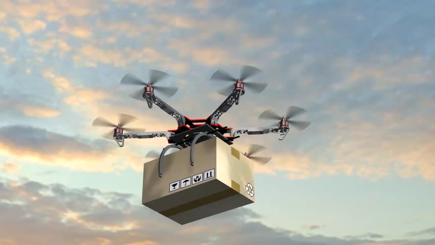 Drone Delivery System