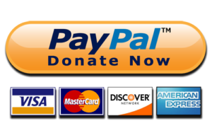 How to Create a PayPal donate button for your WordPress Site?