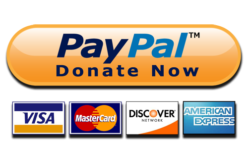 How to Create a PayPal donate button for your WordPress Site?